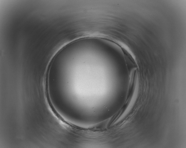 X0000073421007200607281147