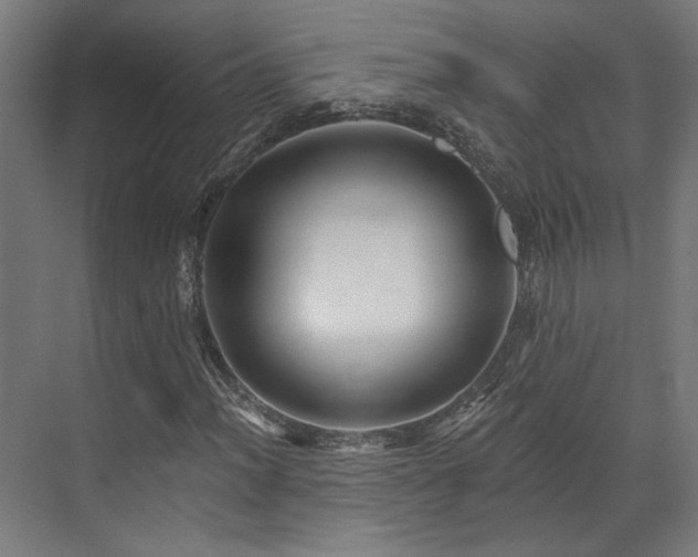 X0000073421012200607281147