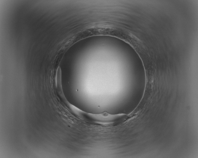 X0000073421014200607281147