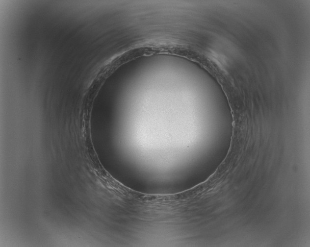 X0000073421016200607281147
