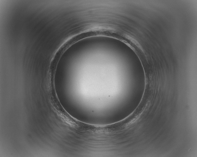 X0000073421021200607281147