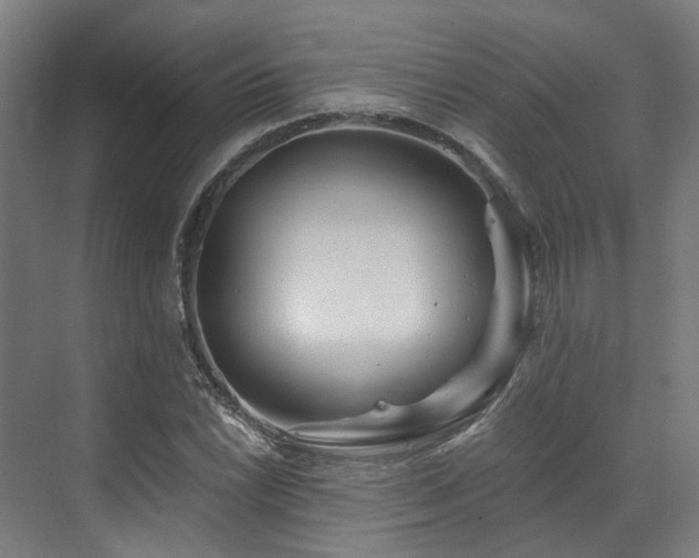 X0000073421022200607281147