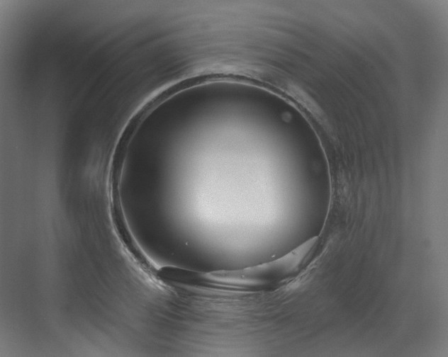X0000073421028200607281147