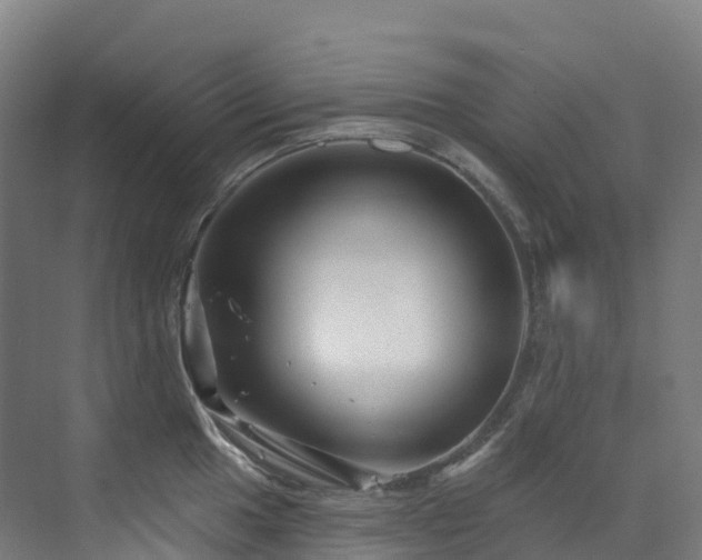 X0000073421049200607281147