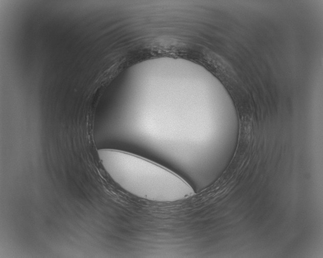 X0000073421060200607281146