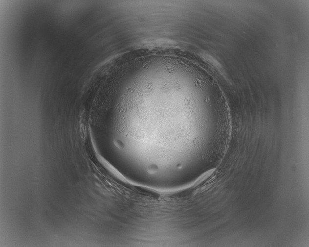 X0000073421063200607281146