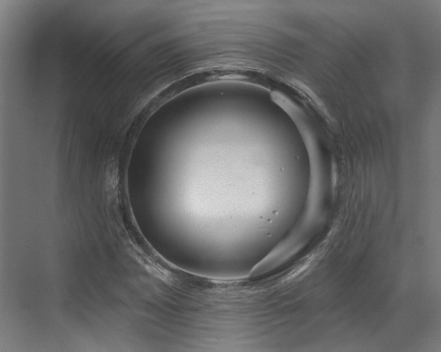 X0000073421065200607281146