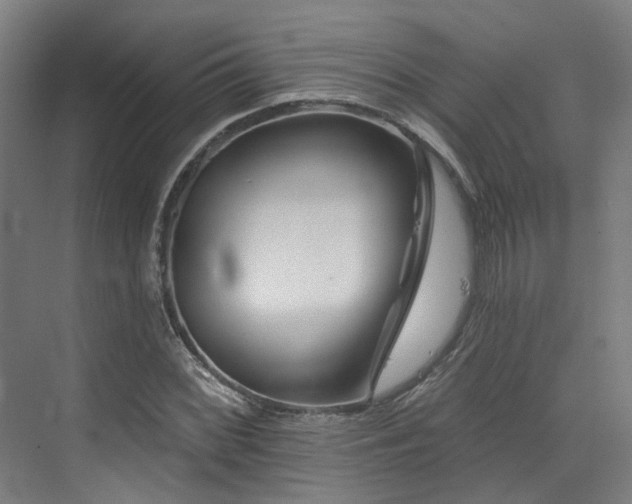 X0000073421068200607281146