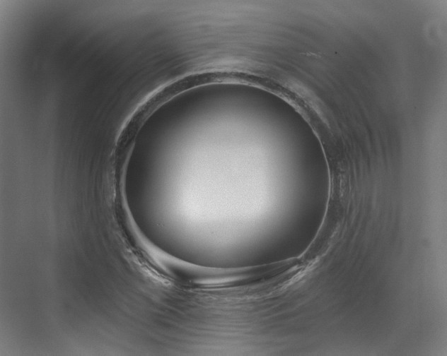 X0000073421069200607281146