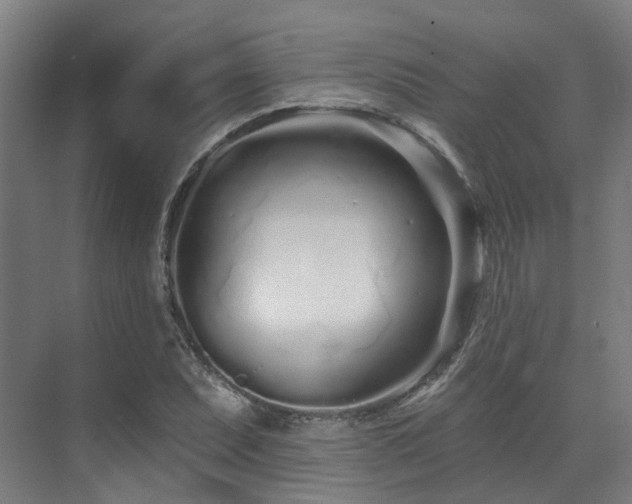 X0000073421071200607281146