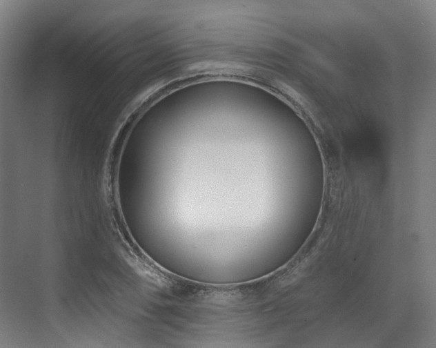 X0000073421074200607281146