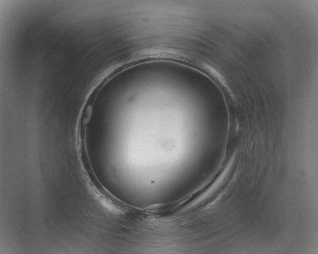 X0000073421082200607281146