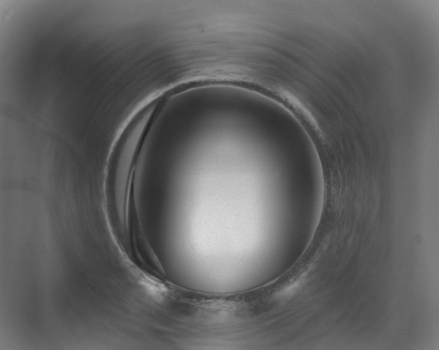 X0000073421085200607281146