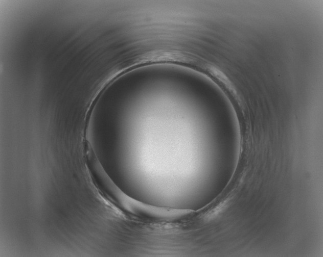 X0000073421089200607281146