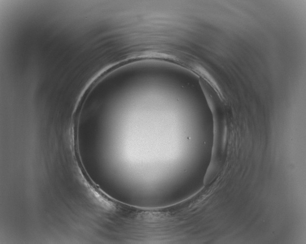 X0000073421092200607281146
