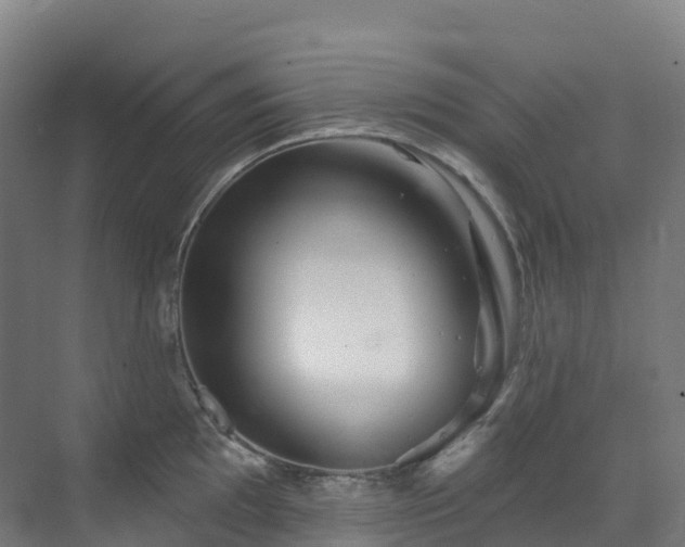 X0000073421097200607281146
