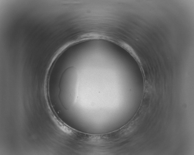 X0000073421098200607281146