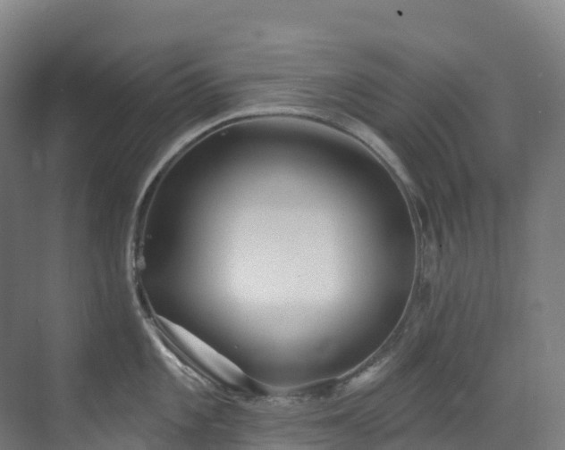 X0000073421101200607281146