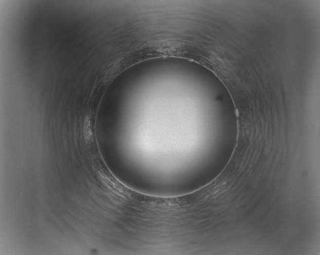 X0000073421106200607281145