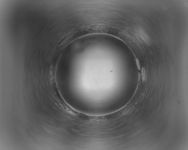 X0000073421107200607281145