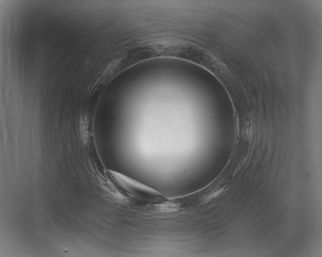 X0000073421108200607281145
