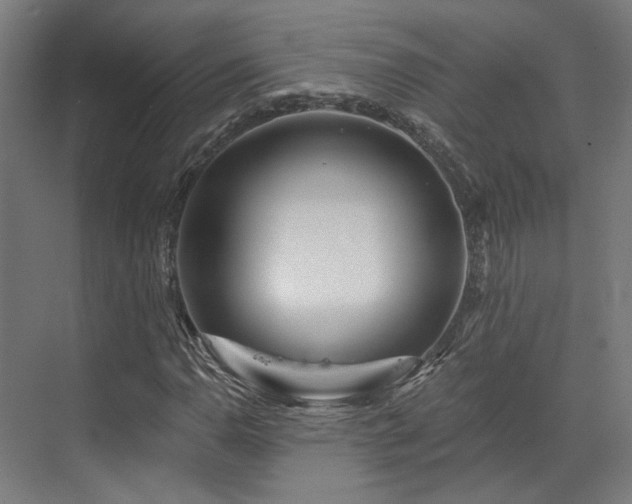 X0000073421110200607281145