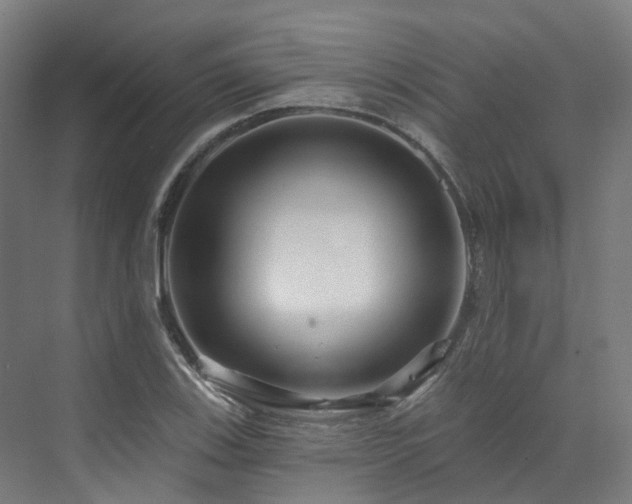 X0000073421123200607281145