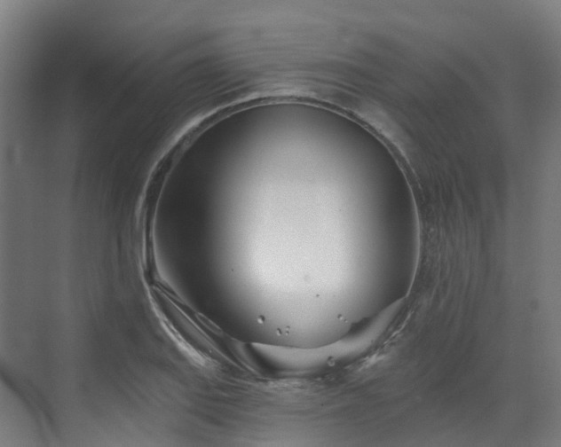 X0000073421127200607281145