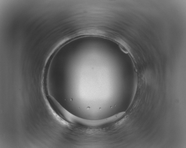 X0000073421139200607281145