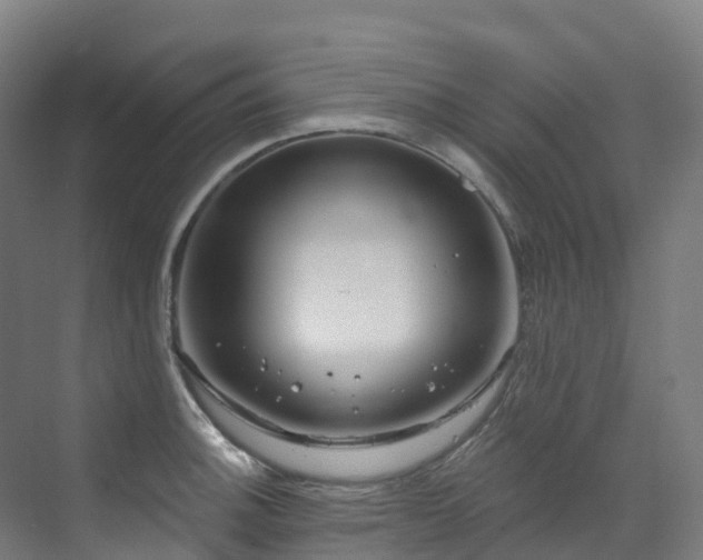 X0000073421140200607281145