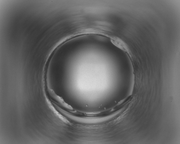 X0000073421142200607281146