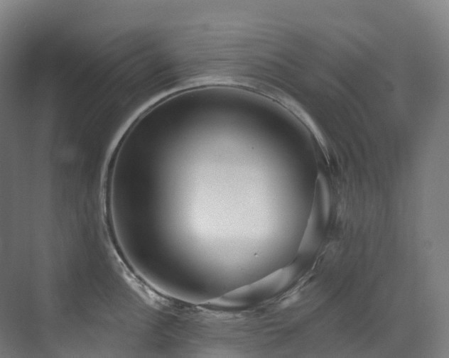 X0000073421148200607281146