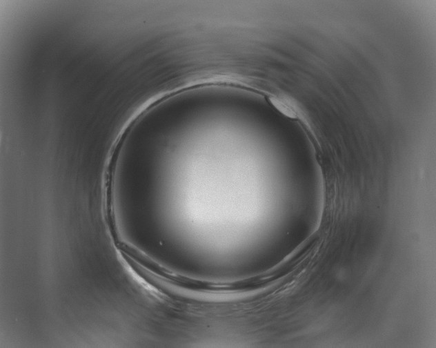X0000073421151200607281146