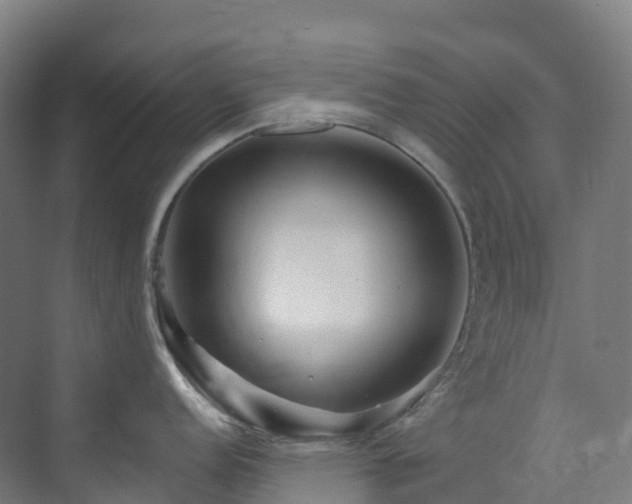 X0000073421152200607281146