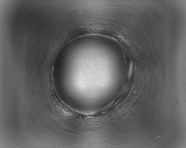 X0000073421153200607281145