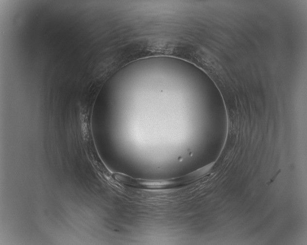 X0000073421154200607281145