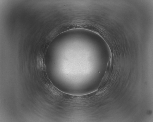 X0000073421155200607281145