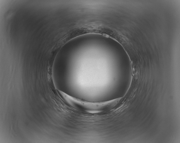 X0000073421156200607281145