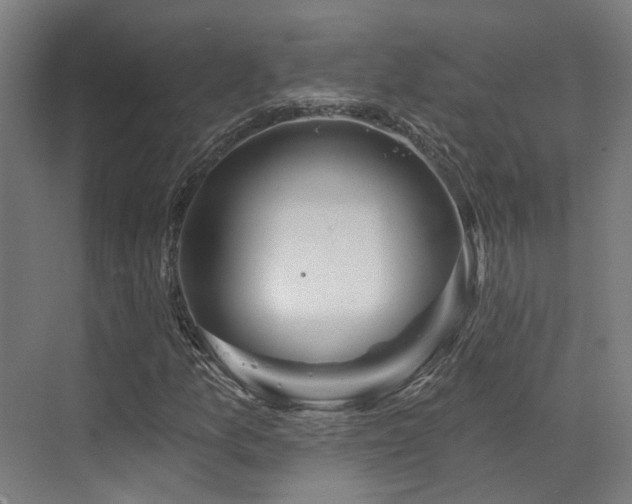 X0000073421157200607281145
