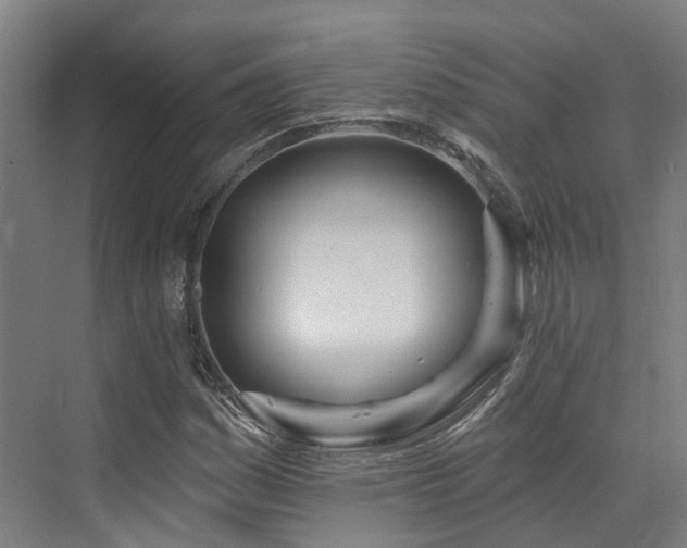 X0000073421161200607281145