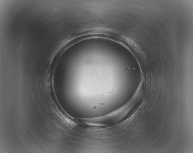 X0000073421164200607281145
