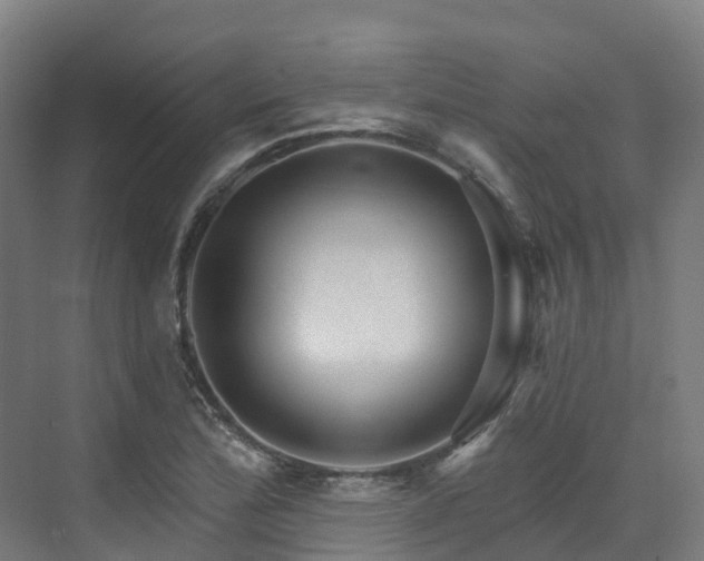 X0000073421172200607281145
