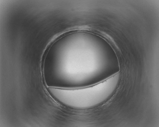 X0000073421176200607281144