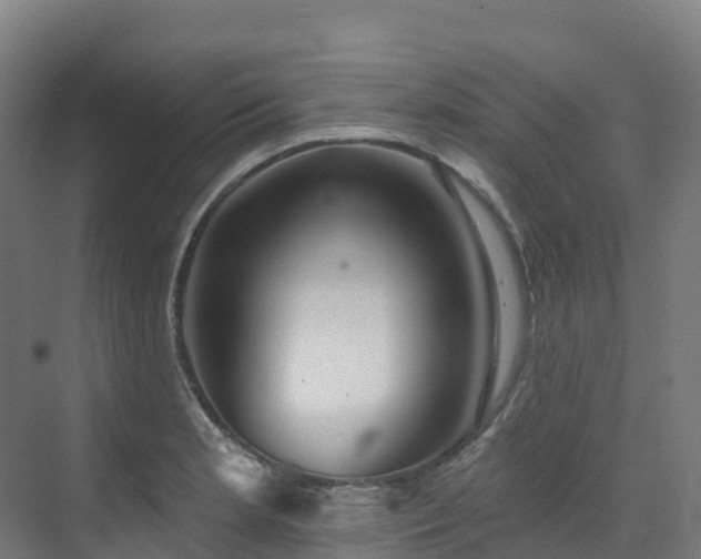 X0000073421181200607281144