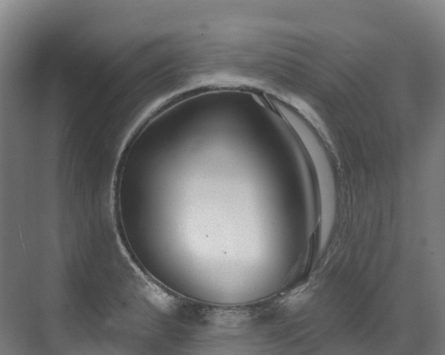 X0000073421183200607281144