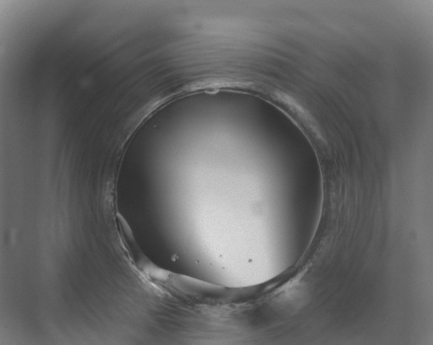 X0000073421185200607281144