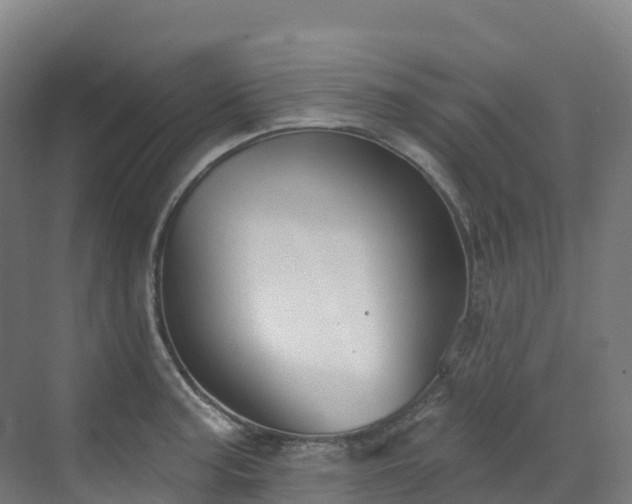 X0000073421187200607281144