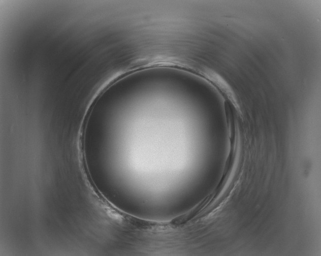 X0000073421190200607281144