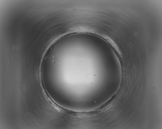 X0000073421191200607281144