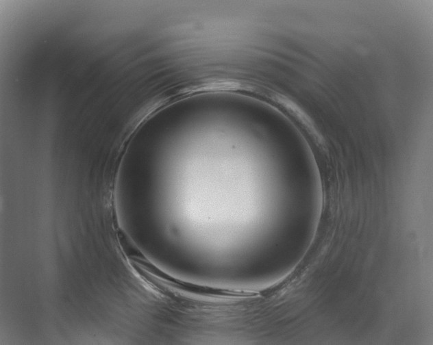 X0000073421193200607281144